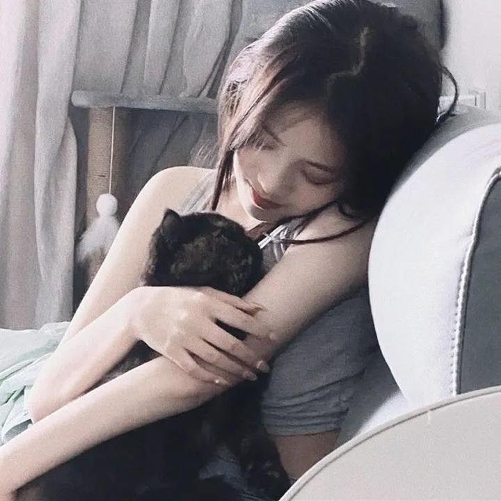 夏洛特的网2：韦伯历险记